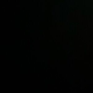 Meet your Posher, Sandy